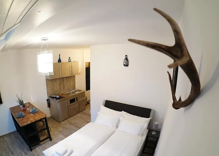 Life & Bike Apartment *